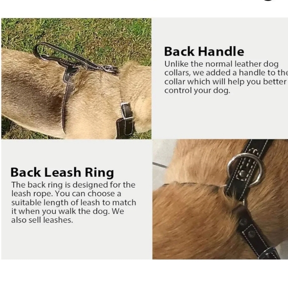 Black Leather Dog Harness New - Picture 5 of 14